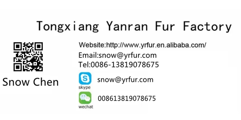 名片版本,快速解答解释定义&6DM1_v2.701