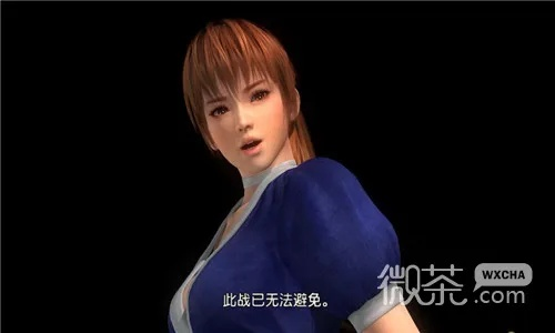 生或死5手游和黄骅尖子顶官方下载,专业解析说明 专属版_v2.275