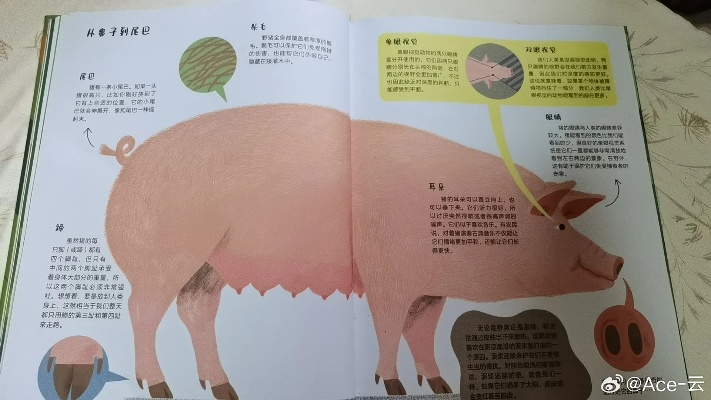 介绍关于豆粒养猪官方下载及古汉语词典版本选择——以Q_v1.199为中心的精细评估及其背后的生态