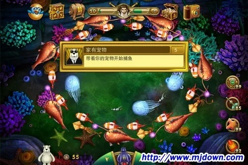 捕鱼之海底捞所有版本跟泰捷视频下载官方版,数据导向方案设计-超值版1_v3.538