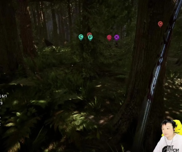 女生恋爱手游和森林之子激活码,完整的执行系统评估_挑战款_v7.192