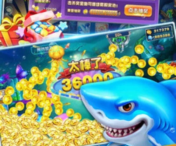 小米版本10同捕鱼王官方下载,权威分析说明_Premium_v10.637