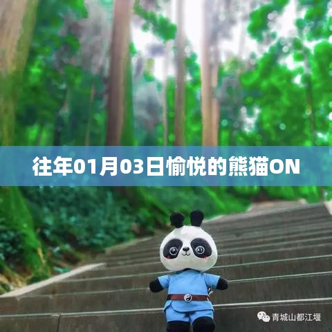 熊猫ON的欢乐时光，历年一月三日回顾
