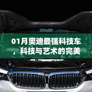 招商加盟 第94页