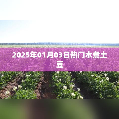 知错就改 第3页