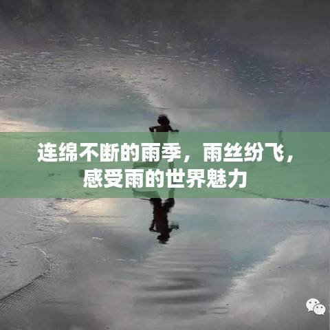 服务项目 第103页