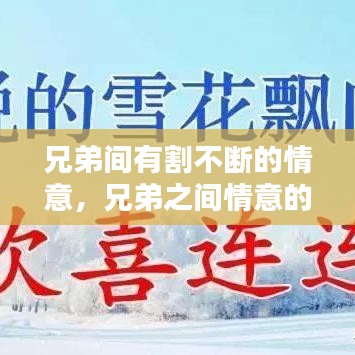 兄弟间有割不断的情意，兄弟之间情意的说说 