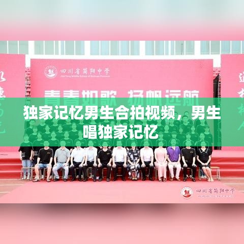 成功案例 第88页