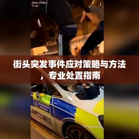 街头突发事件应对策略与方法，专业处置指南