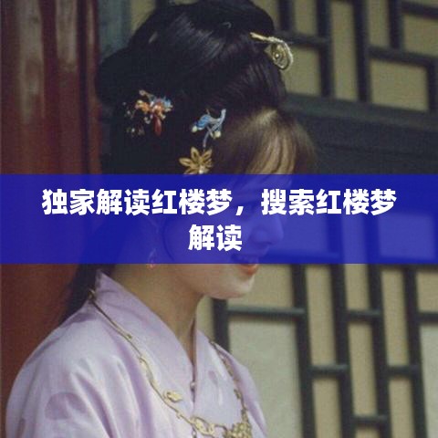 独家解读红楼梦，搜索红楼梦解读 