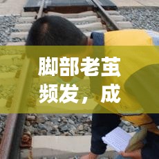成功案例 第86页