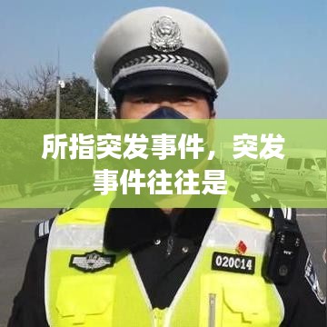 所指突发事件，突发事件往往是 