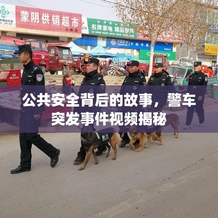 公共安全背后的故事，警车突发事件视频揭秘