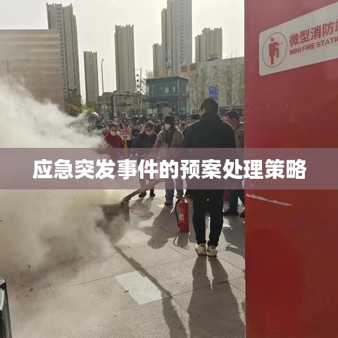 应急突发事件的预案处理策略