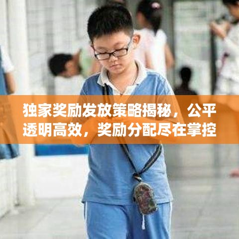 独家奖励发放策略揭秘，公平透明高效，奖励分配尽在掌控