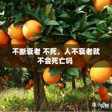 不断衰老 不死，人不衰老就不会死亡吗 