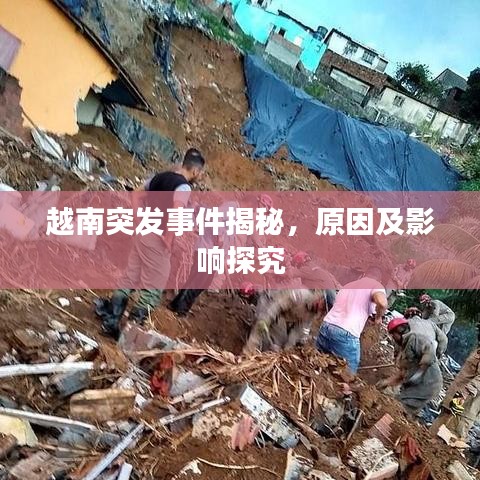 越南突发事件揭秘，原因及影响探究