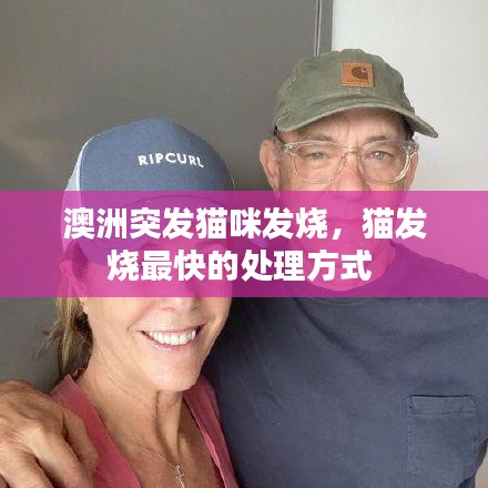 澳洲突发猫咪发烧，猫发烧最快的处理方式 