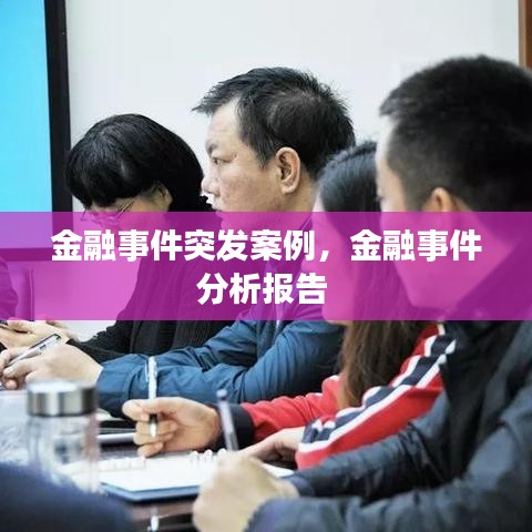金融事件突发案例，金融事件分析报告 