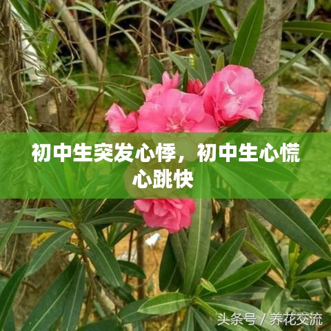 初中生突发心悸，初中生心慌心跳快 