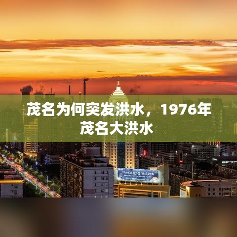 招商加盟 第86页