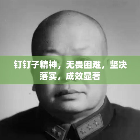 钉钉子精神，无畏困难，坚决落实，成效显著