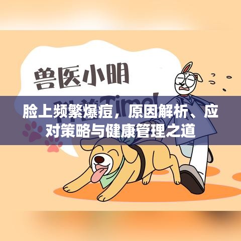 脸上频繁爆痘，原因解析、应对策略与健康管理之道