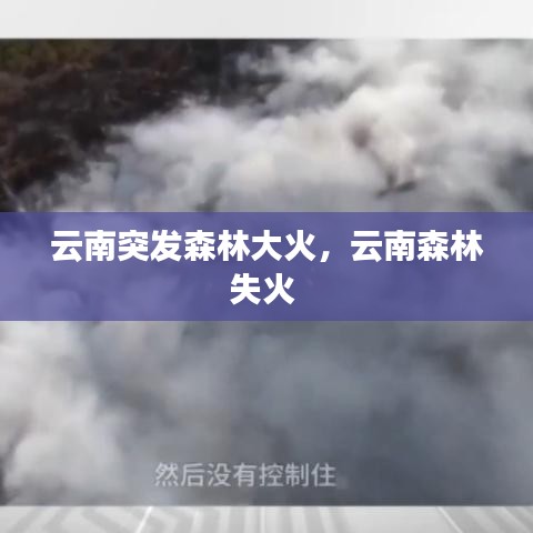 云南突发森林大火，云南森林失火 