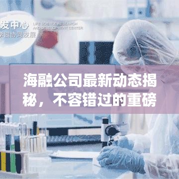 海融公司最新动态揭秘，不容错过的重磅消息！