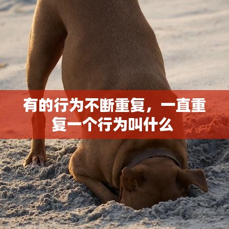 一石二鸟 第2页