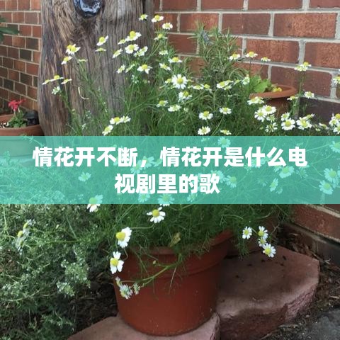 去就之分 第2页
