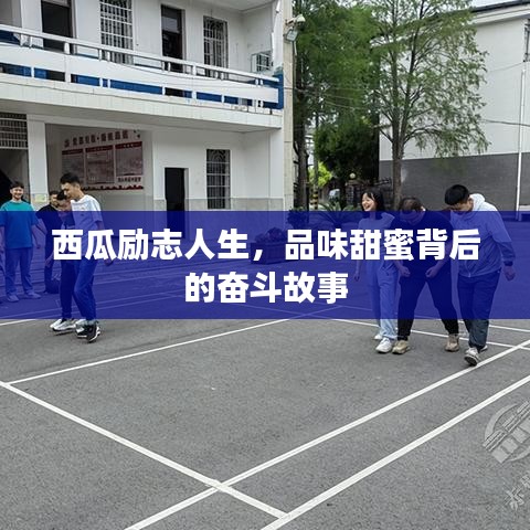 关于我们 第83页