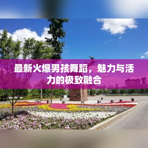 最新火爆男孩舞蹈，魅力与活力的极致融合