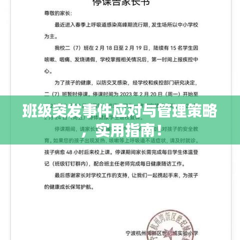 班级突发事件应对与管理策略，实用指南！
