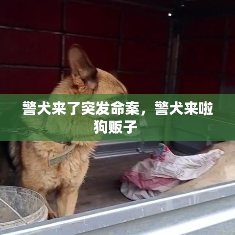 粗心大意 第2页