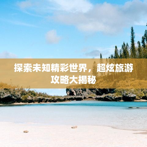 成功案例 第80页