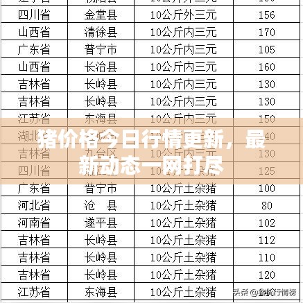猪价格今日行情更新，最新动态一网打尽