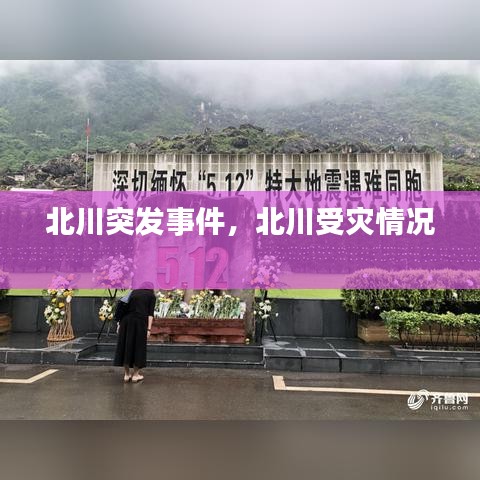 鸢飞戾天 第2页