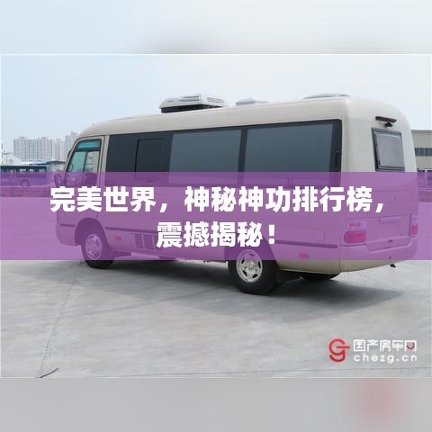 完美世界，神秘神功排行榜，震撼揭秘！