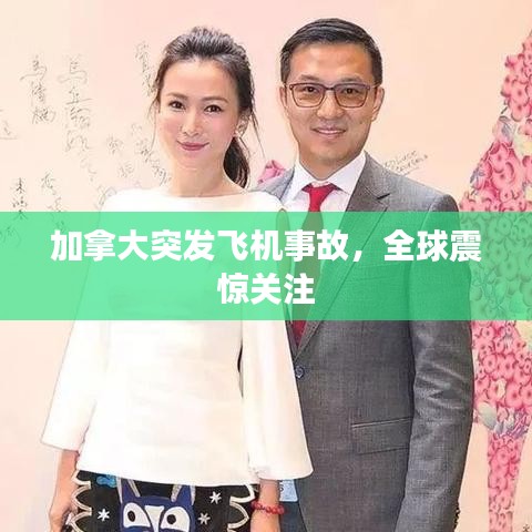 虫蚀鸟步 第3页