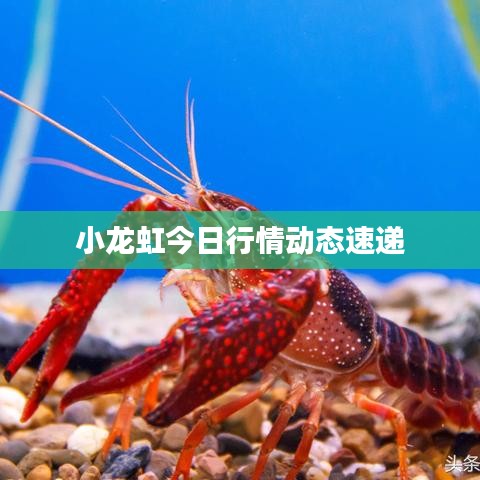 五光十色 第2页