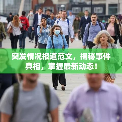 联系我们 第81页