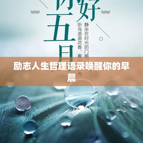 标新竞异 第2页