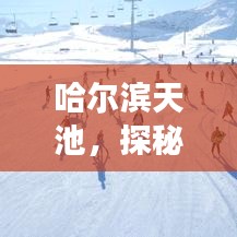 鸢飞鱼跃 第2页