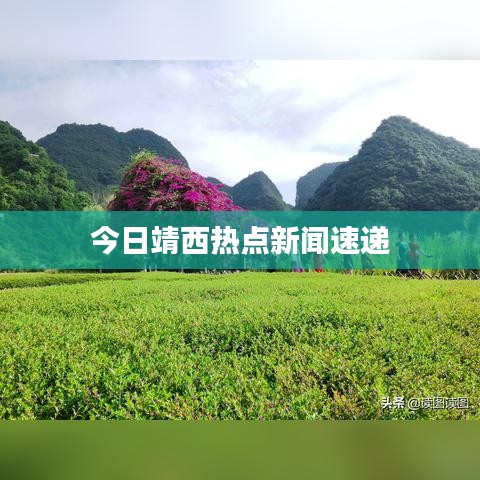今日靖西热点新闻速递