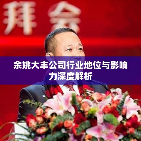 余姚大丰公司行业地位与影响力深度解析