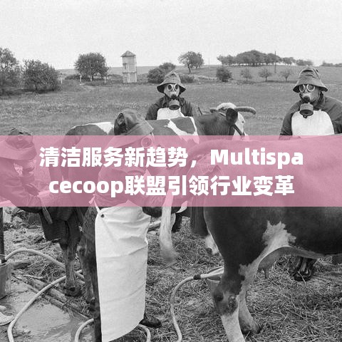 admin 第6页
