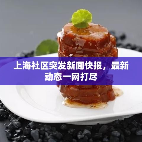 上海社区突发新闻快报，最新动态一网打尽