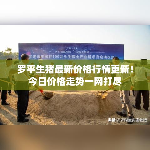 罗平生猪最新价格行情更新！今日价格走势一网打尽