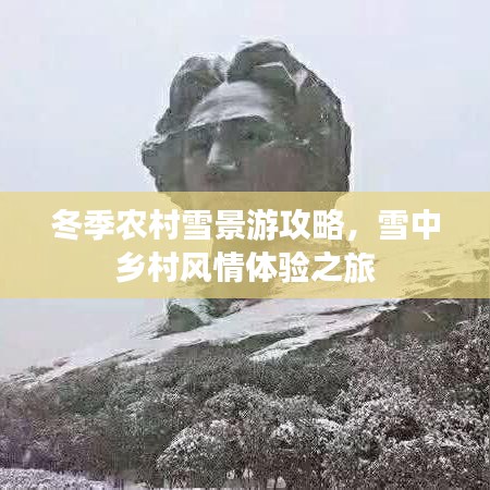 鸟面鹄形 第2页